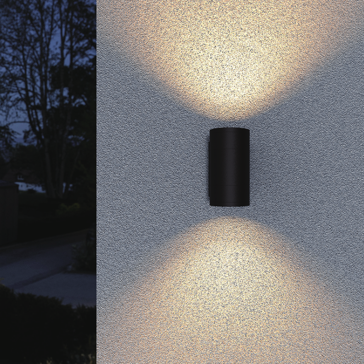 LED Wall Sconce Light-MCL01