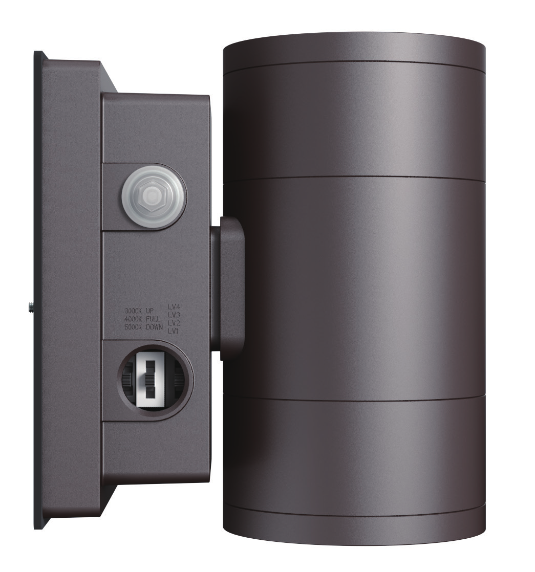 LED Wall Sconce Light-MCL01